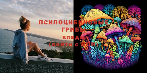 дмт Волосово