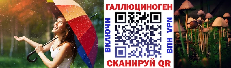 Галлюциногенные грибы ЛСД  Купить закладки  Новая Усмань 